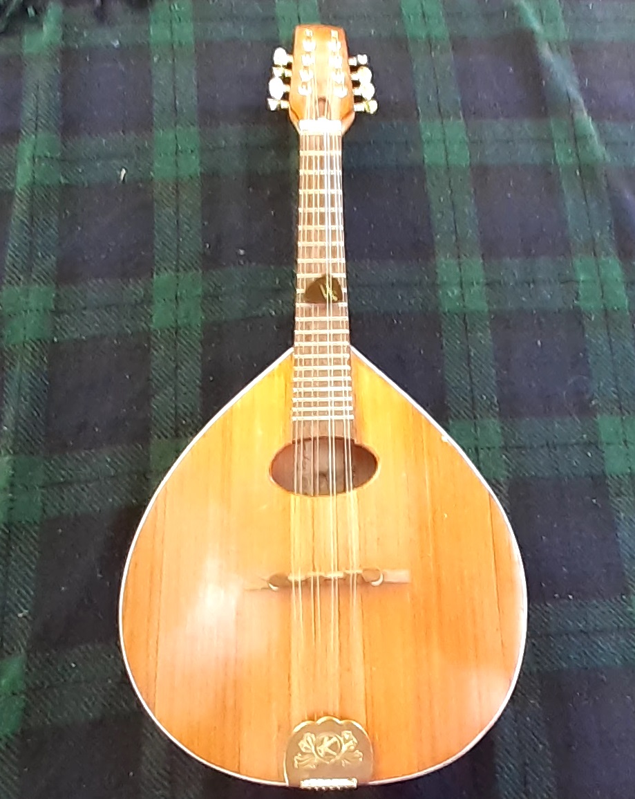 flat style mandolin