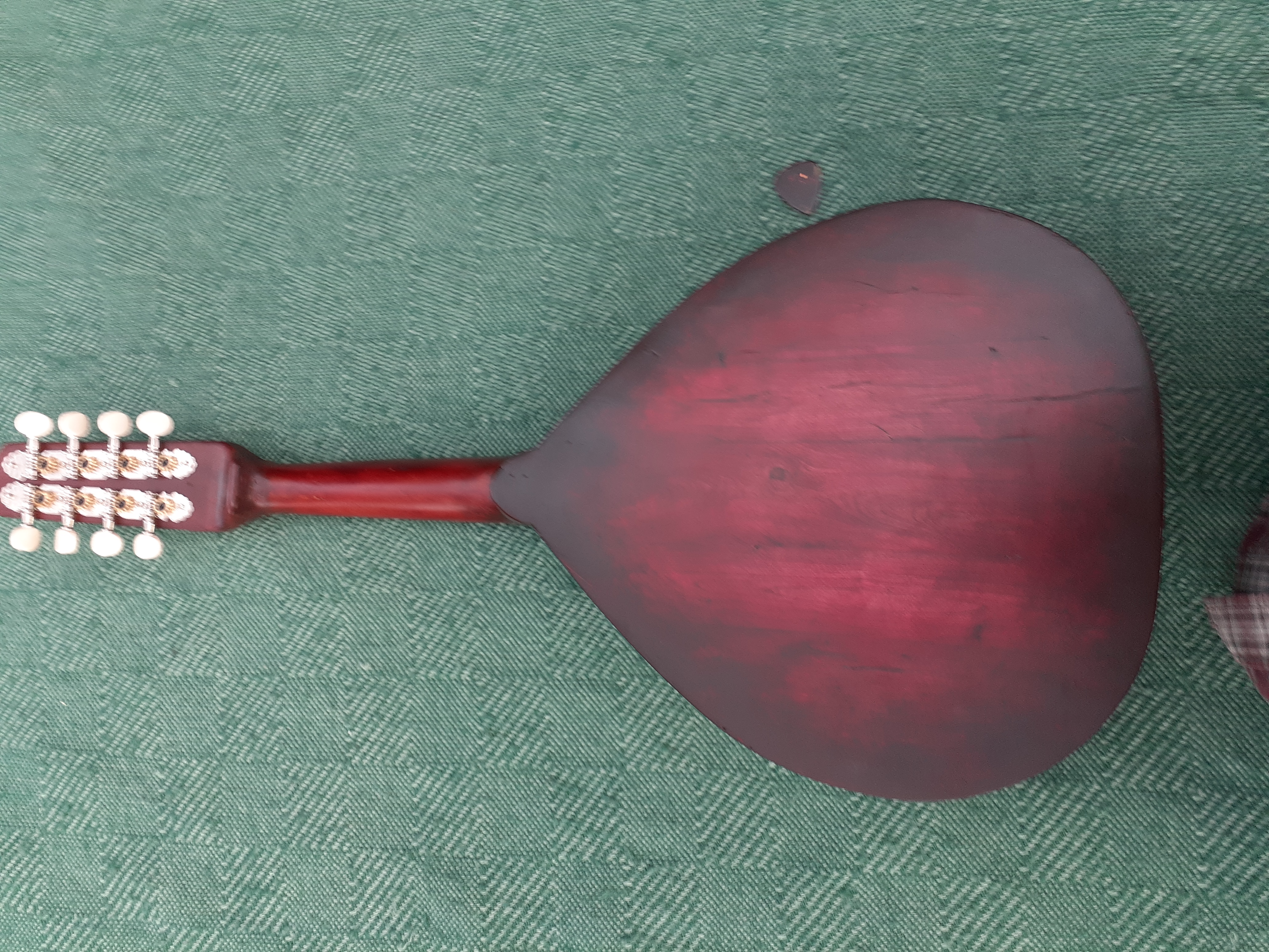 lilac wood back on f hole