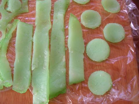 buttons cut from bioplastic
