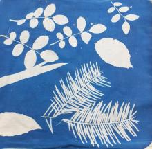 cyanotype print on fabric