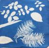 cyanotype print on fabric